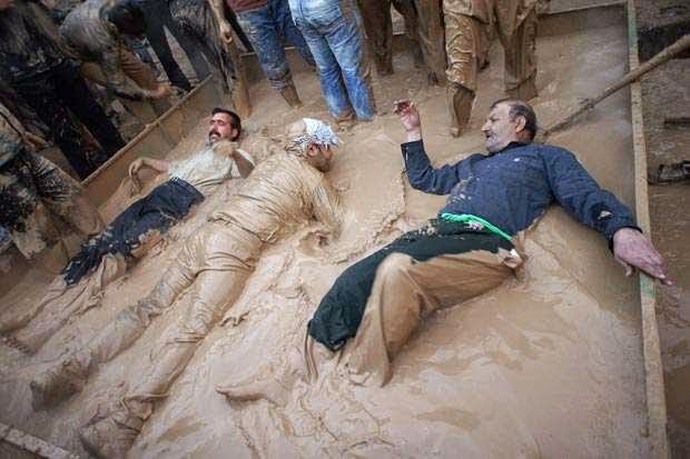 سلطان آل حامد | SULTAN tweet media