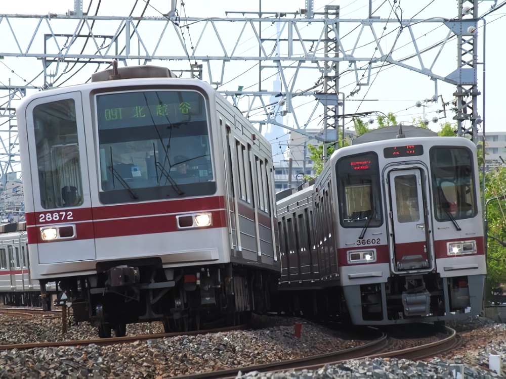 せせらぎ tweet media