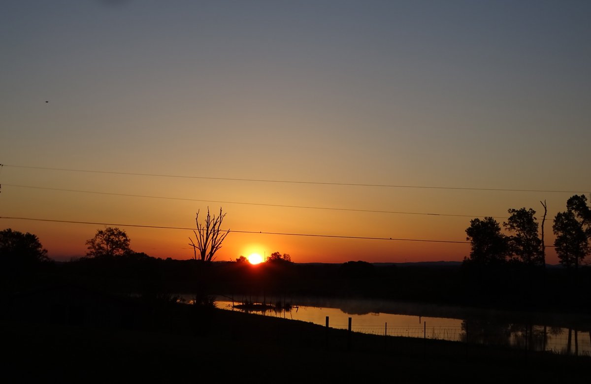 Sheryl Franklin tweet media