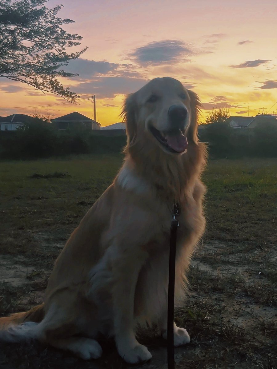 ぴーママ tweet media