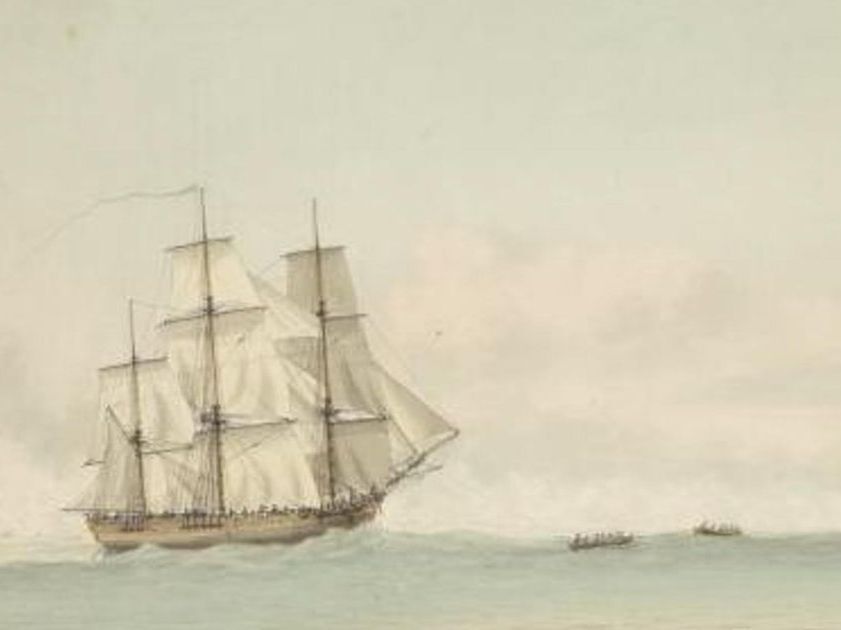 TheHistoryPress's tweet photo. #OTD in 1770, British navigator and explorer Captain James Cook becomes the first European to discover Australia.🐨🌏 Discover 5 unknown facts👉: https://t.co/gsQ8x7GEHU (@HistoryExtra) #CaptainCook #OnThisDay https://t.co/bHp38PNYK5