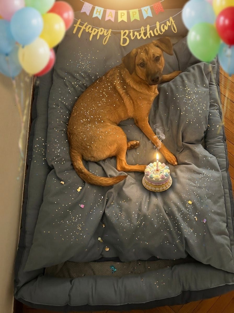 DisagioIsTheNewBlack tweet media