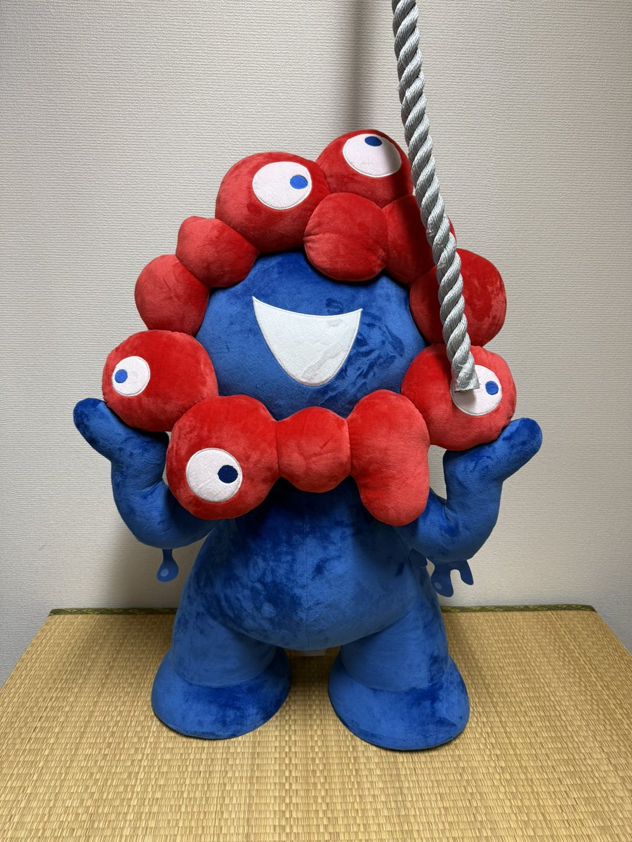 清水(30代) tweet media