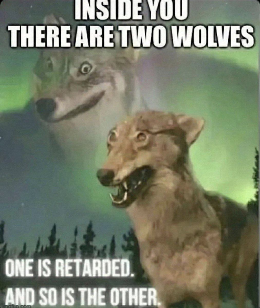 your mom tweet media