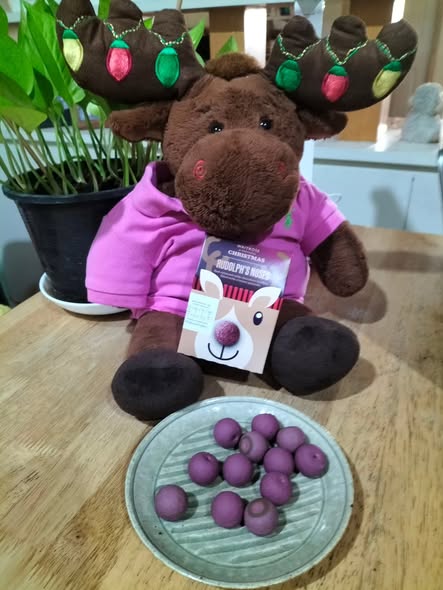ChrisCsd1's tweet image. #Chocolate Rhubarb, with 4 boxes of yummy Rudolph's Noses chocolates, we bought in a supermarket branch, in shopping mall. Red coloured milk chocolate truffles, filled with creamy ganache. Great discount from original price in UK money, £9.90 for each box, to £2.28 pence each!