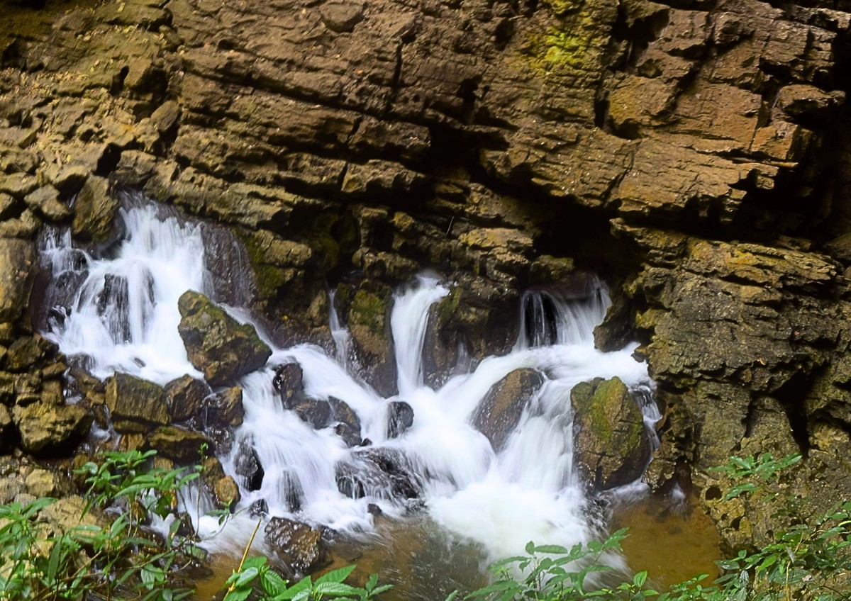 PantipTravel's tweet image. ลำคลองงู | ผจญภัยถ้ำนกนางแอ่น One Day Trip 🌳⛰  อุทยานแห่งชาติลำคลองงู อ. ทองผาภูมิ จ. กาญจนบุรี 

📌 pantip.com/s/IZQ6C

#บลูแพลนเที่ยว #บลูแพลนเน็ต #Blueplanet #อุทยานแห่งชาติ #ลำคลองงู #ทองผาภูมิ #กาญจนบุรี #เที่ยวไทย