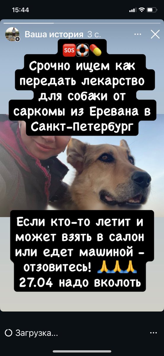 Nikishow tweet media