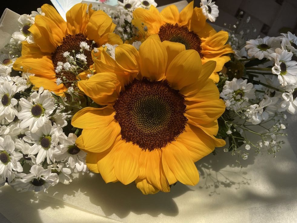 ⌗mazu | VAI VER O SKZ E BTS 🐿️ tweet media