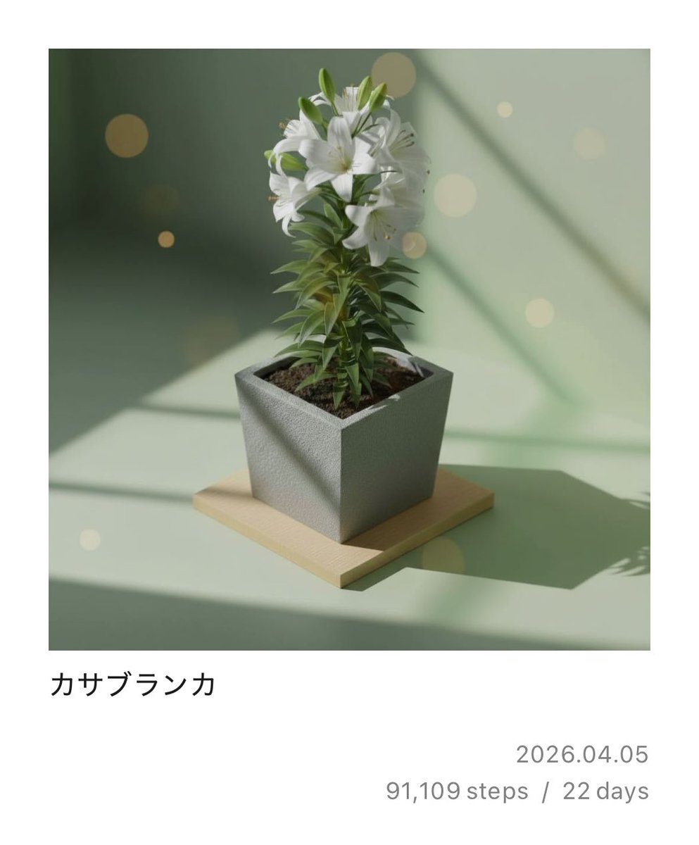 アヤカ tweet media