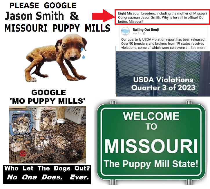 prettyinc's tweet image. "The righteous care for the needs of their animals, but the compassion of the wicked is cruel." 
Will Christians in the Missouri legislature do what's right or imitate Pontius Pilate?
#WWJD #MAGA #MOLEG #MOSEN #MISSOURIGOP #MOAGRICULTURE #WaysandMeansGOP