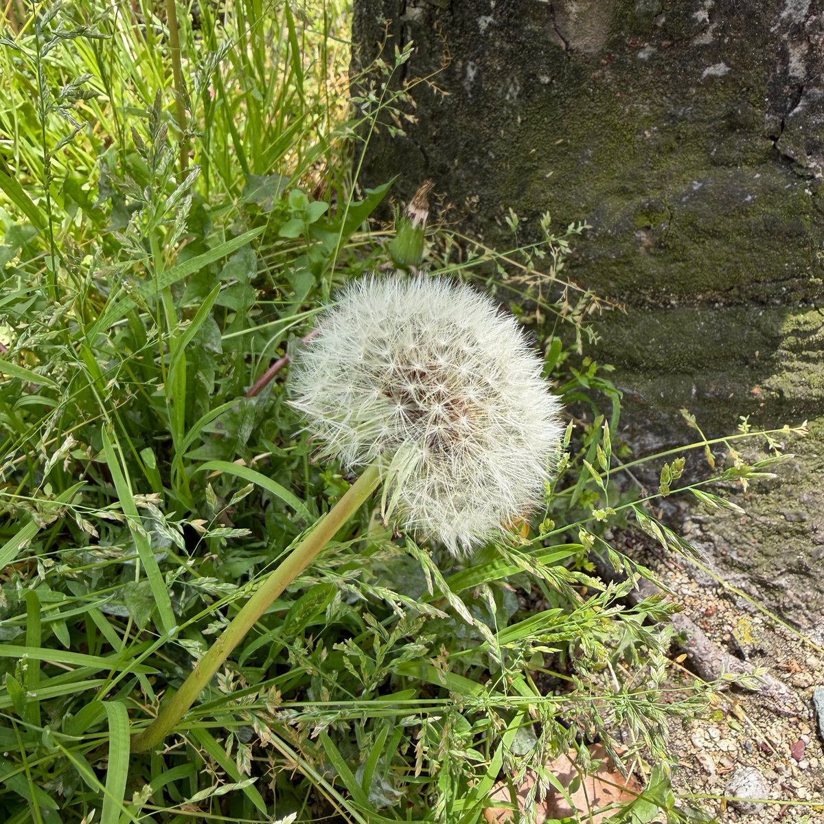 imagine works tweet media