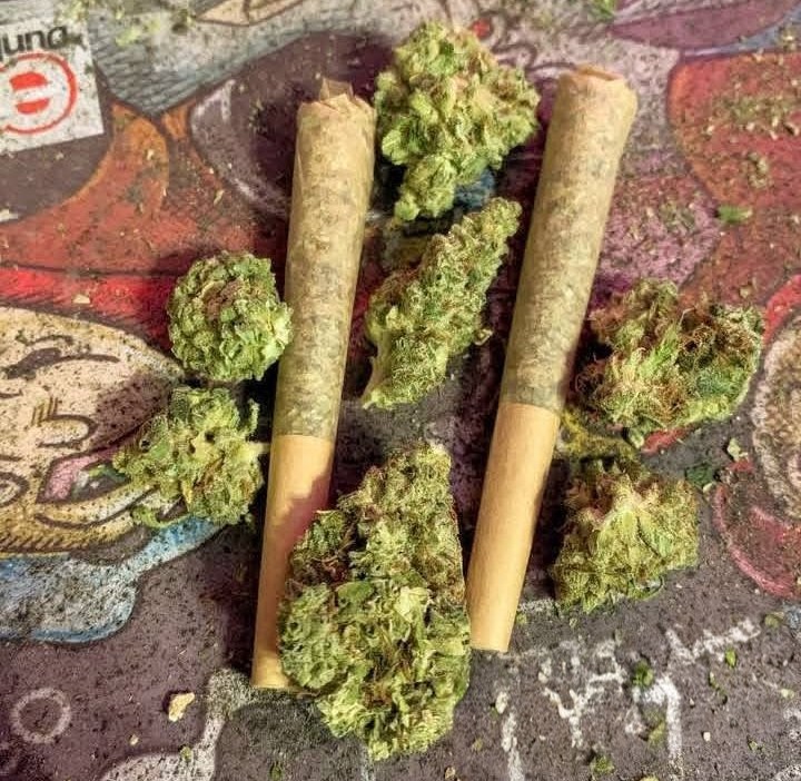 Artek Swaróg🌿💨🇵🇱 tweet media