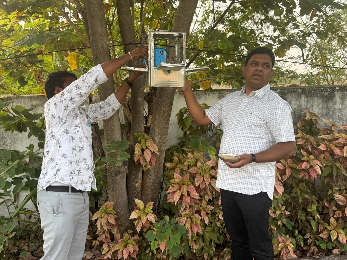 MC_Jammikkunta's tweet photo. Due to the intense summer season, arrangements have been made to provide food and water to the birds to ensure that they do not face any hardship.
@cdmatelangana
@tksreedevi 
@Collector_KNR 
@swachhbharat 
@SwachhBharatGov 
@TelanganaCMO 
@tgmepma 
@aclb_knr 
@MoHUA_India https://t.co/PryOGIBVnj