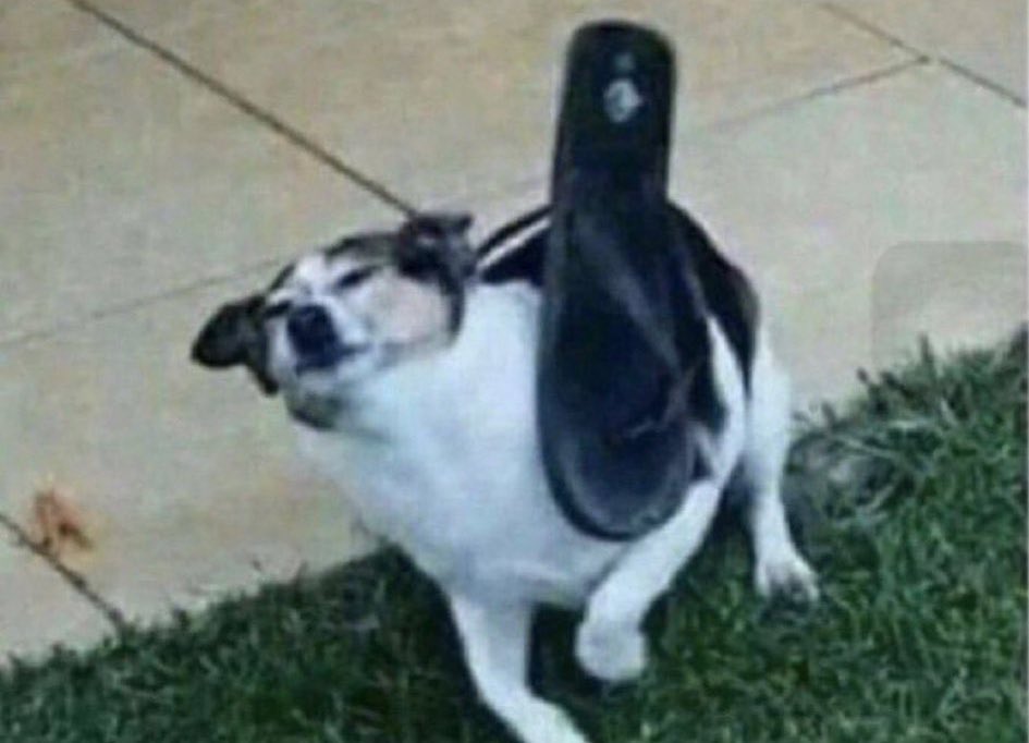 د.أبو سداح🍷☃️ tweet media