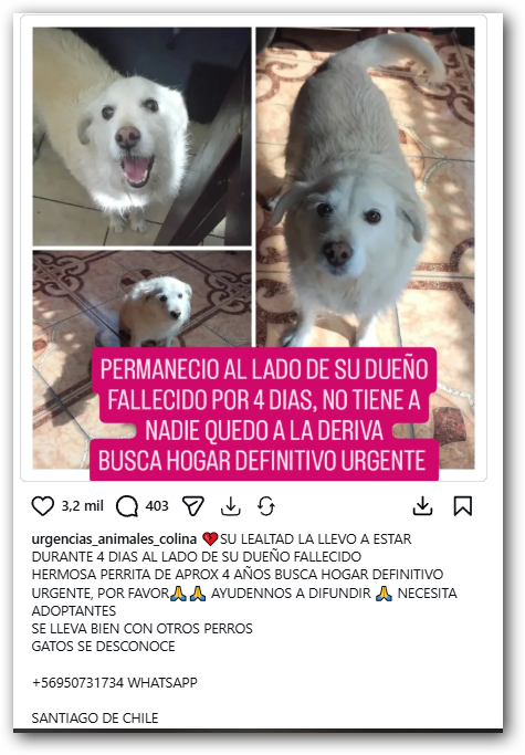 gene_llerena's tweet photo. Utilidad pública!. https://t.co/btqLlEicBc