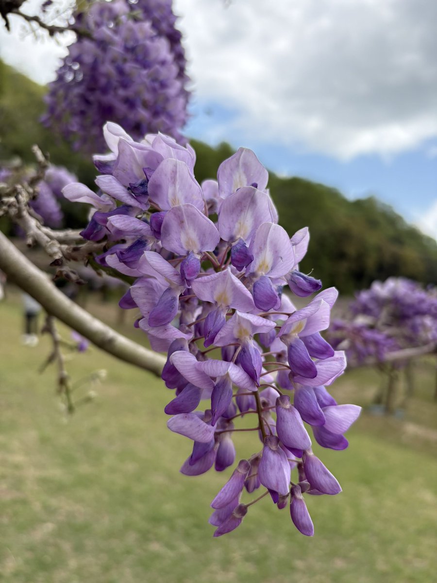 なかにしゆうこ tweet media