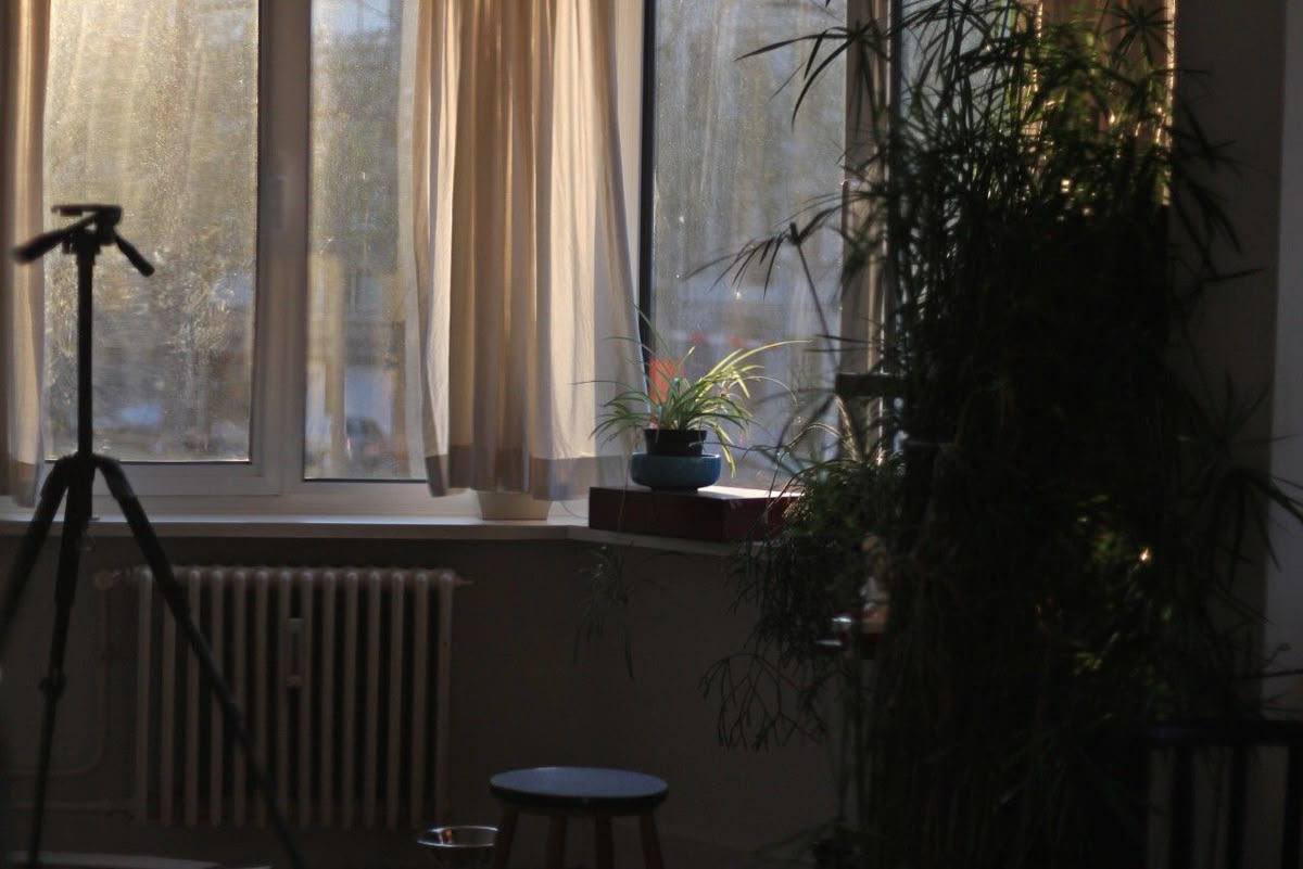 Bayan🌟 tweet media