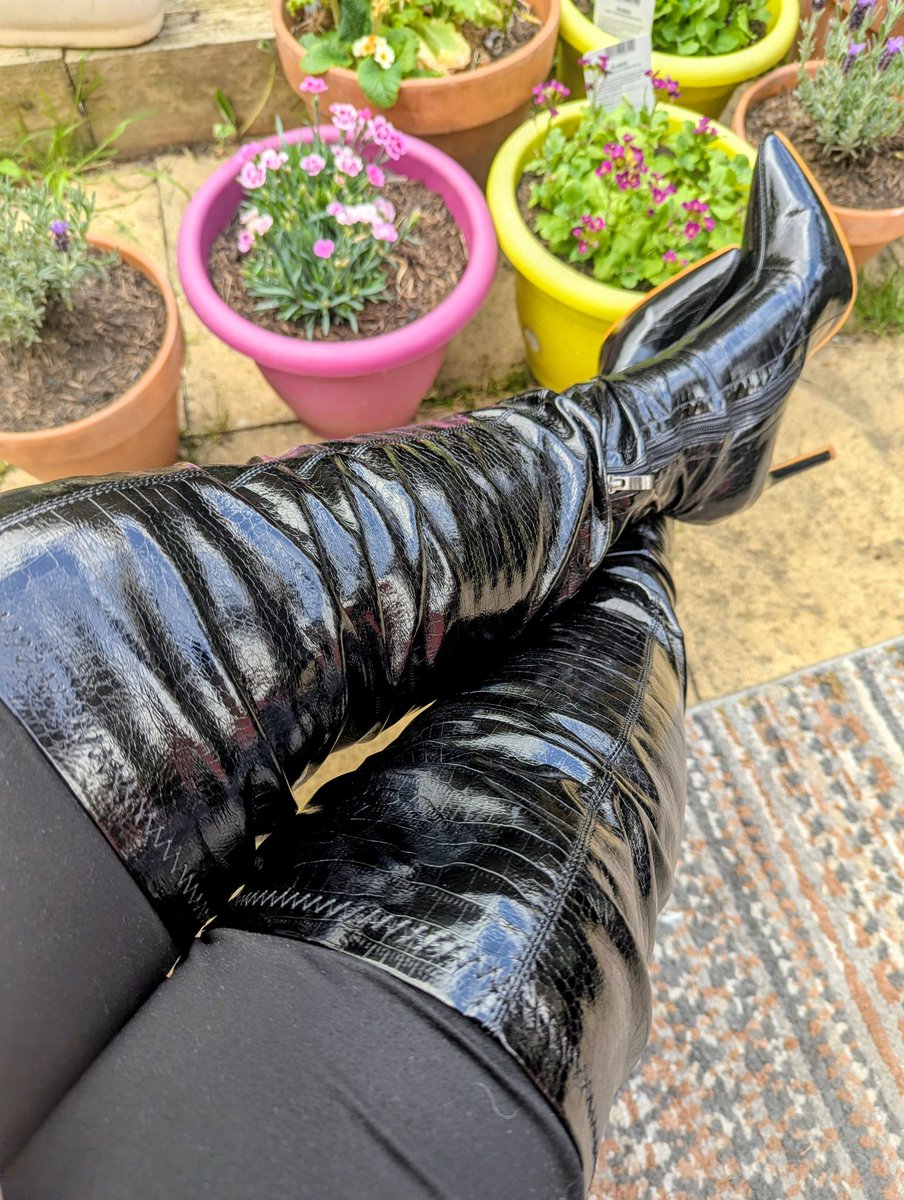 Exploring Flr tweet media