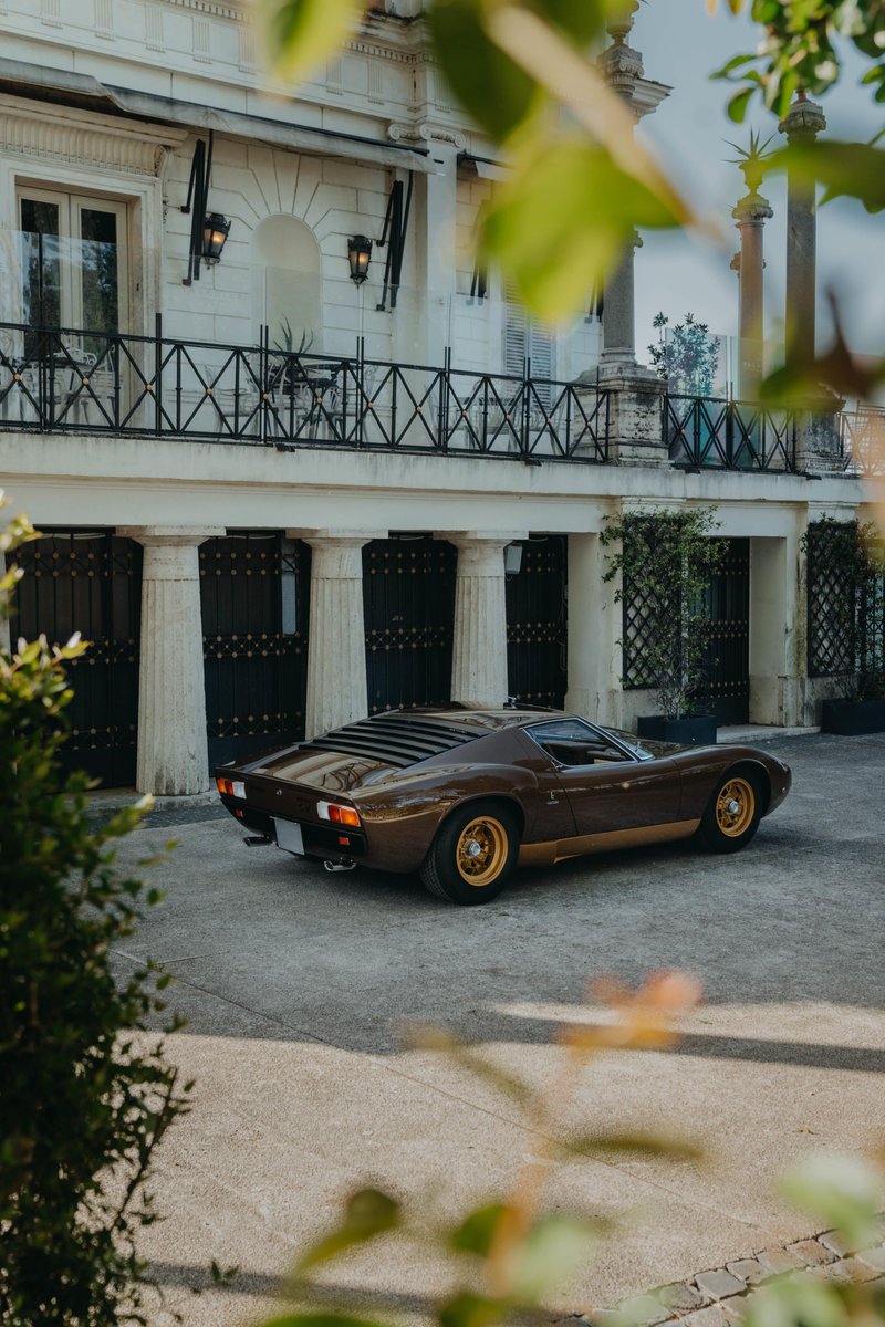 Jose Armando Gomez tweet media