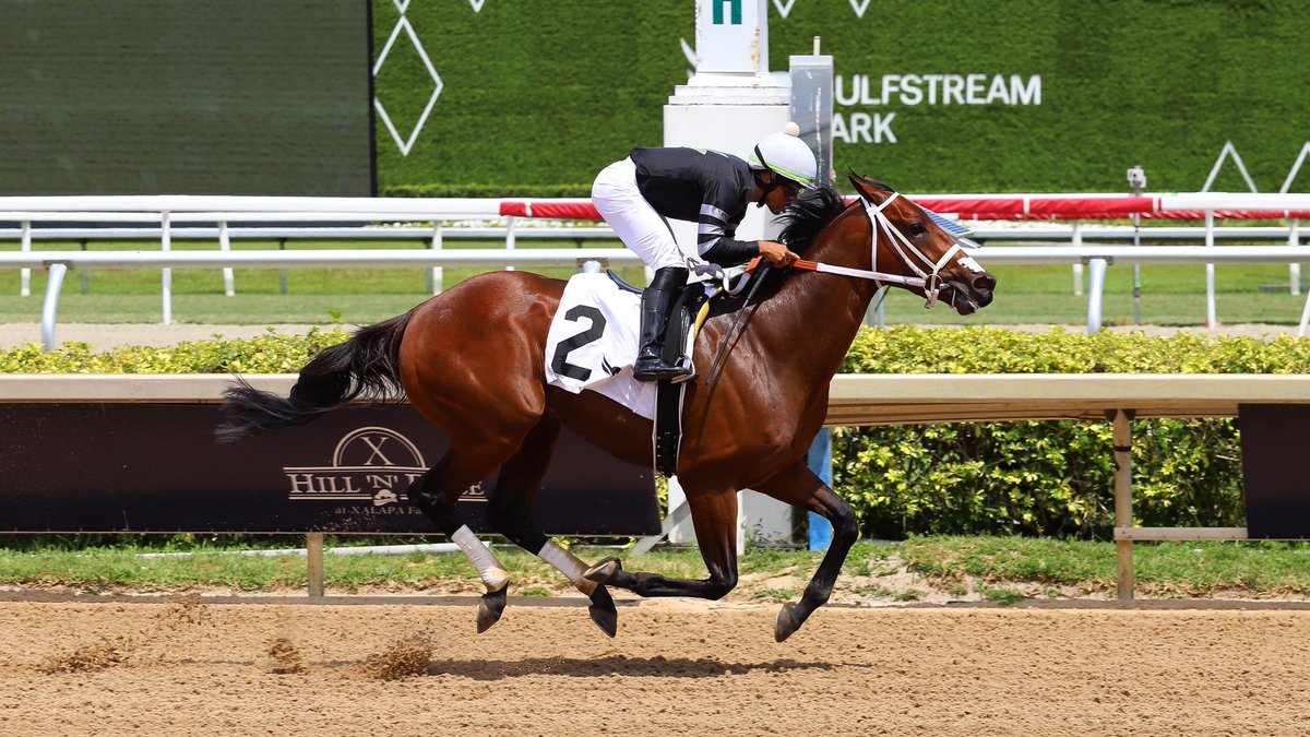 One Hundred Kings • Samy Camacho • Victor Barboza, Jr. 

#GulfstreamPark | #RoyalPalmMeet