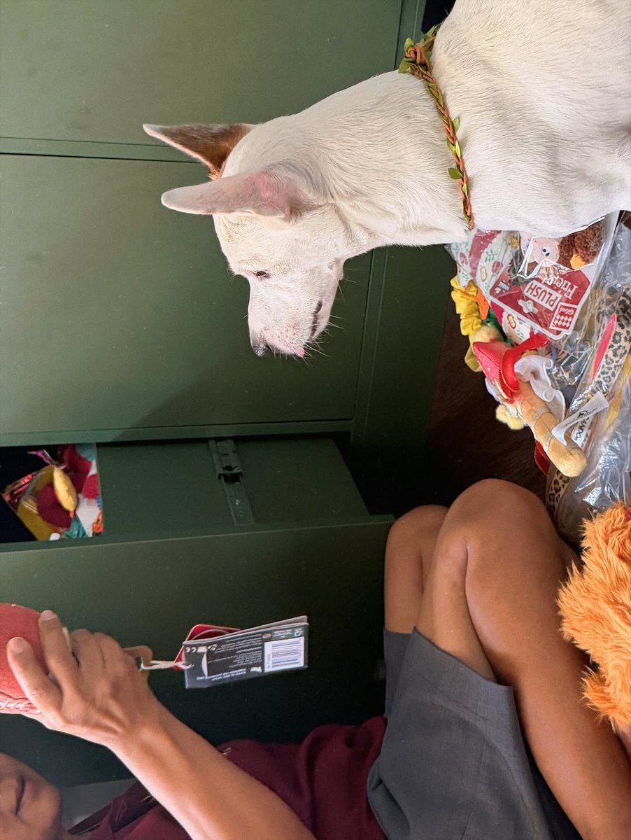 Trend For Sonyasarann (TH) 📈 tweet media