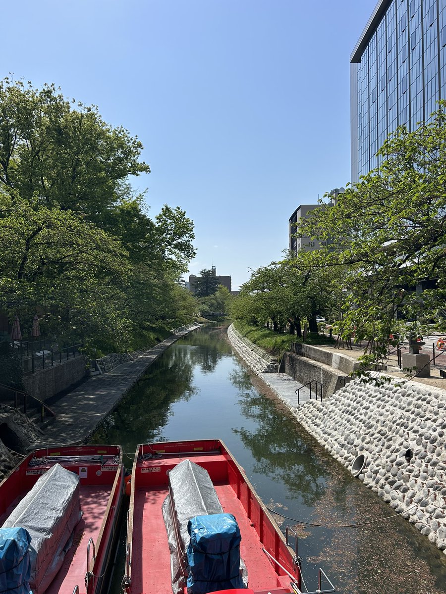 富山のよしえ tweet media