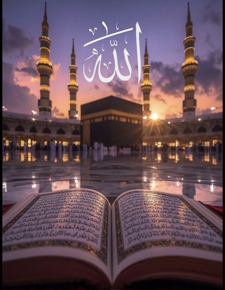 Rabia Yılmaztürk tweet media