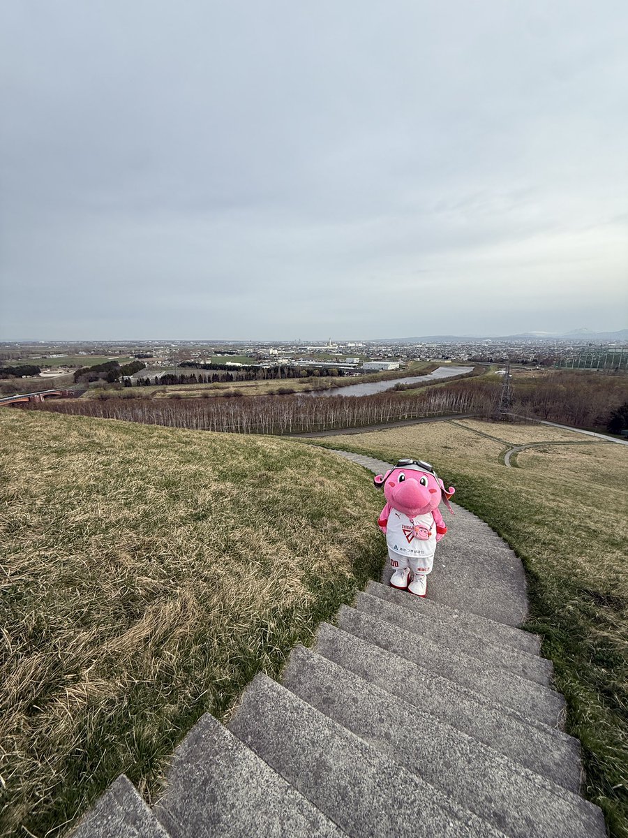 千葉ジェッツふなばし 🛫PAINT IT JETS✨ tweet media