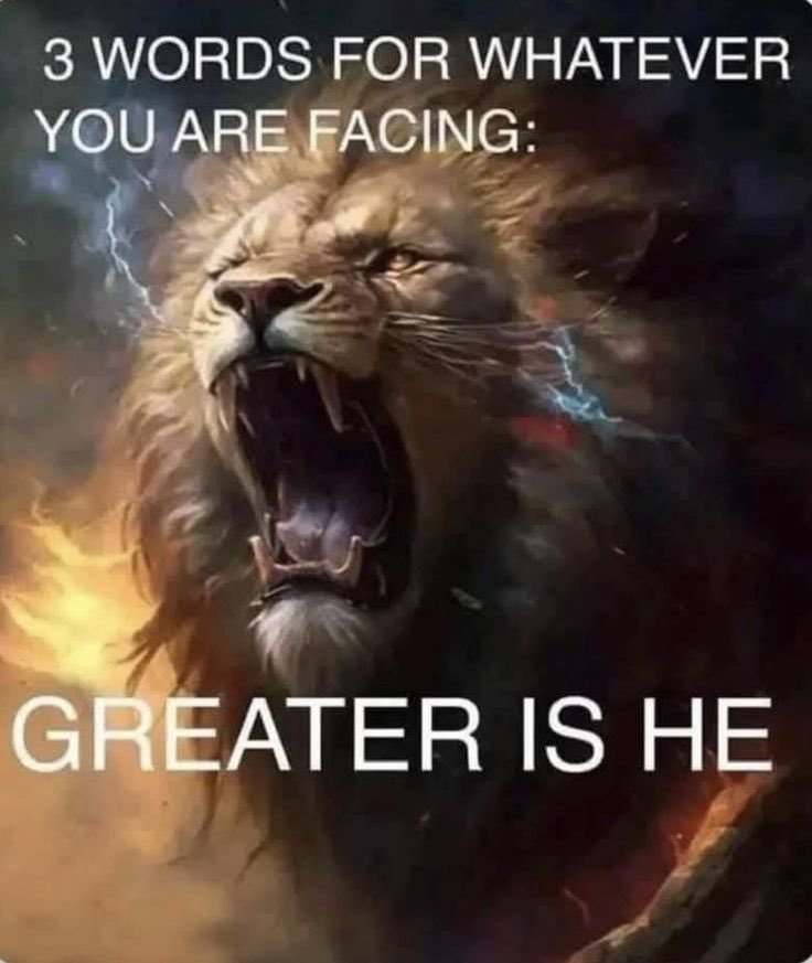 🕊️Grateful Heart🕊️ tweet media