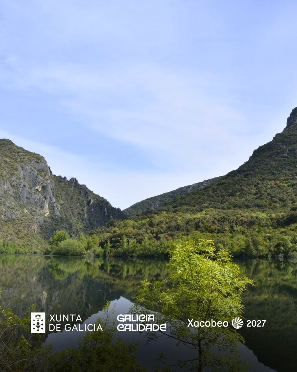 Turgalicia's tweet photo. Plans no Parque Natural Serra da Enciña da Lastra, o parque natural máis novo de Galicia, para todos!

⛰️ Percorrer o val do Sil entre canóns e paisaxes únicas.
🌸 Descubrir máis de 25 especies de orquídeas e a súa singular vexetación, como a aciñeira.
🦅 Observar aves no seu hábitat natural.
🔭 Subir aos seus miradoiros e gozar de vistas panorámicas.
🏘️ Visitar as súas aldeas e descubrir a súa vida rural.

Planes en el Parque Natural Serra da Enciña da Lastra, el más joven de Galicia, ¡para todos!

⛰️ Recorrer el valle del Sil entre cañones y paisajes únicos.
🌸 Descubrir más de 25 especies de orquídeas y su singular vegetación, como la encina.
🦅 Observar aves en su hábitat natural.
 🔭 Subir a sus miradores y disfrutar de vistas panorámicas.
🏘️ Visitar sus aldeas y descubrir su vida rural.

Things to do in Serra da Enciña da Lastra Natural Park, the youngest natural park in Galicia, for everyone!

⛰️ Explore the Sil valley through canyons and unique landscapes.
🌸 Discover more than 25 orchid species and its unique vegetation, such as holm oak.
🦅 Watch birds in their natural habitat.
🔭 Climb to its viewpoints and enjoy panoramic views.
🏘️ Visit its villages and discover rural life.

#Galicia #GaliciaCalidade #Xacobeo2027 #Ourense