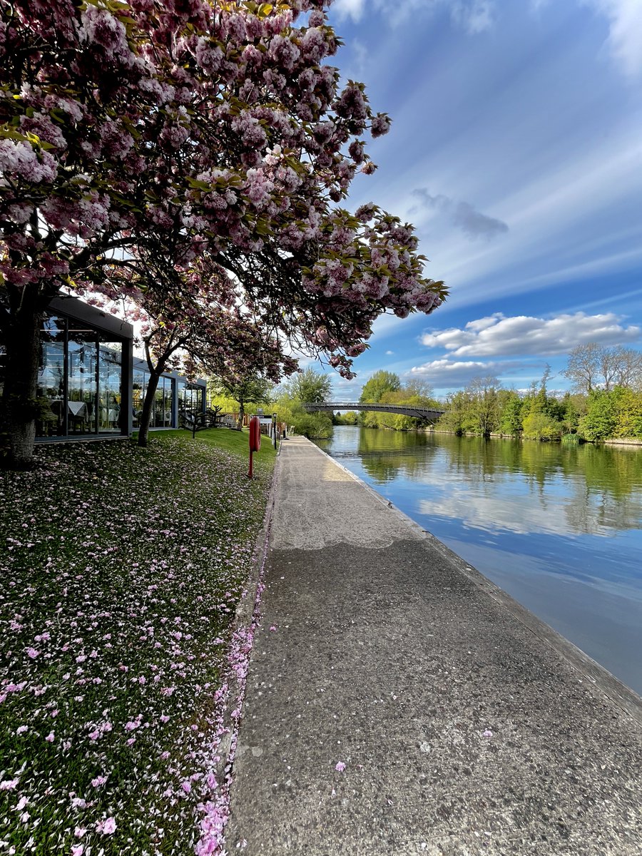 Monkey Island Lane tweet media