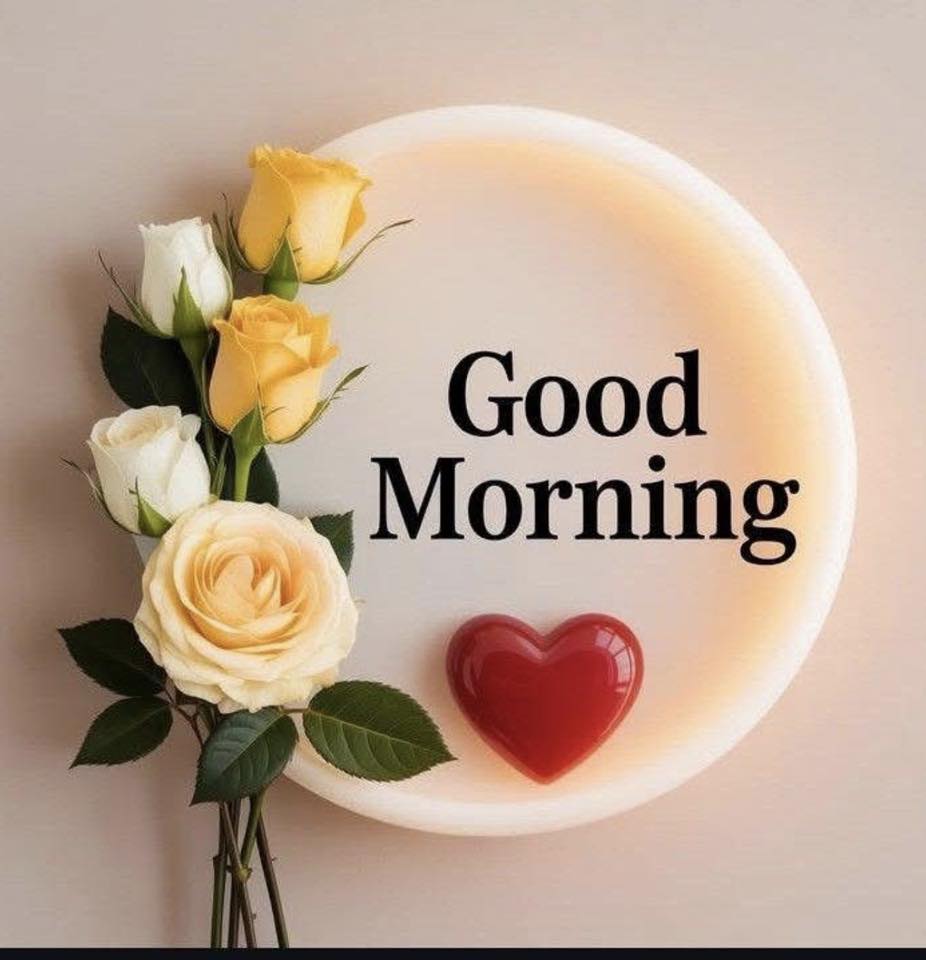 G12Rocco's tweet image. Good Monday Morning! Hope You Had a Wonderful Weekend! Wishing you all a Magnificent Monday and a Sensational Start to the new week😊 #MondayMorning