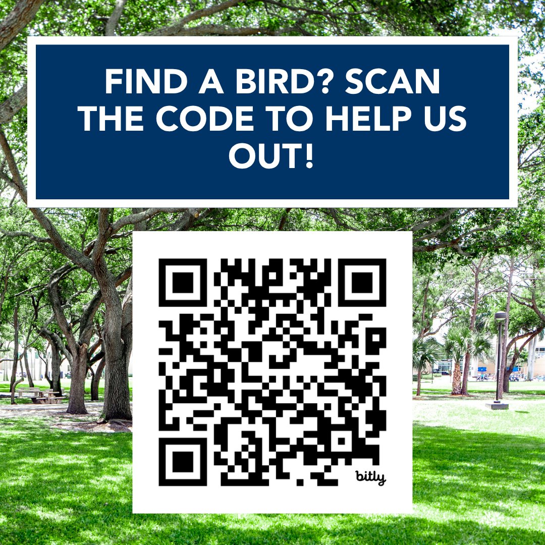 FAU ECOS tweet media