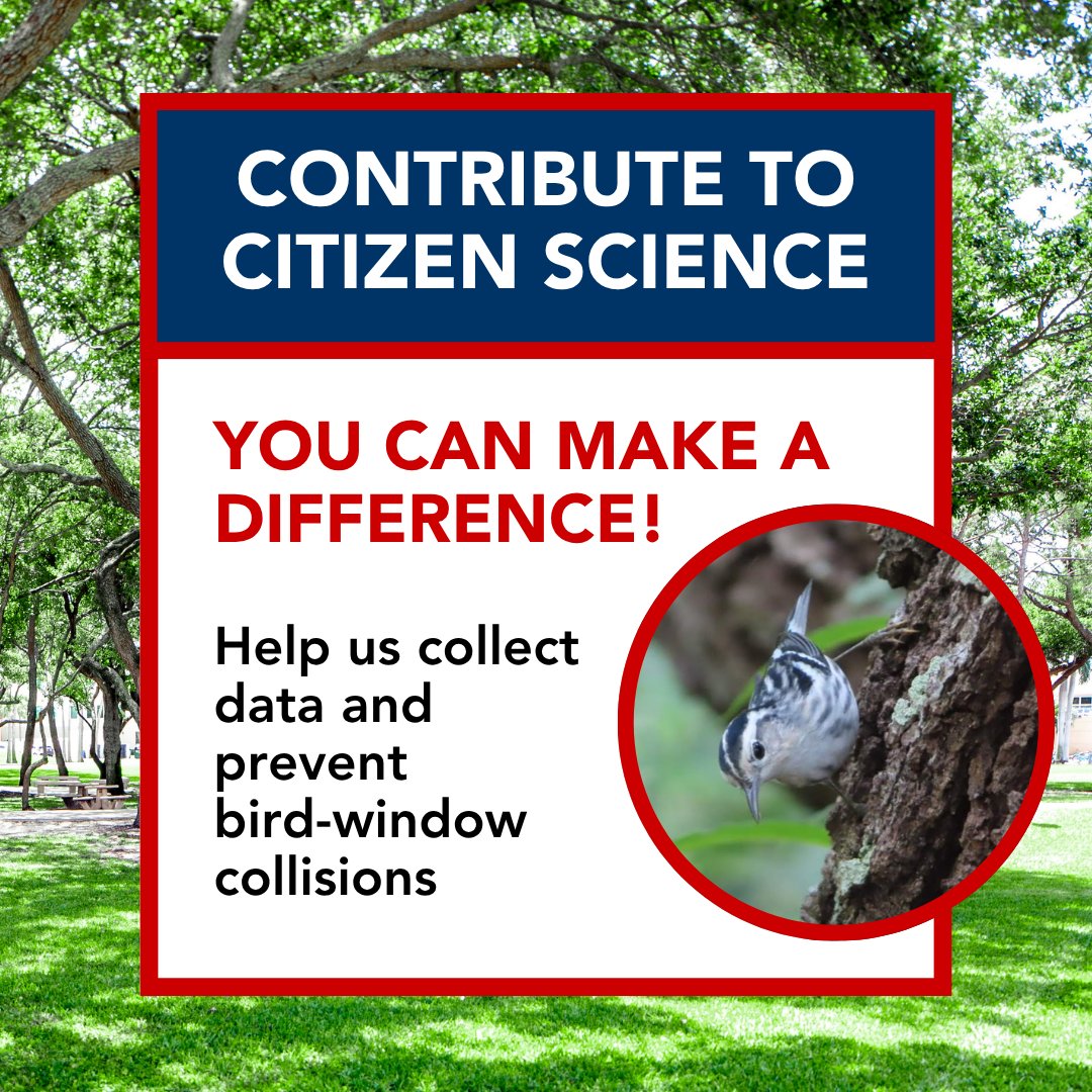 FAU ECOS tweet media
