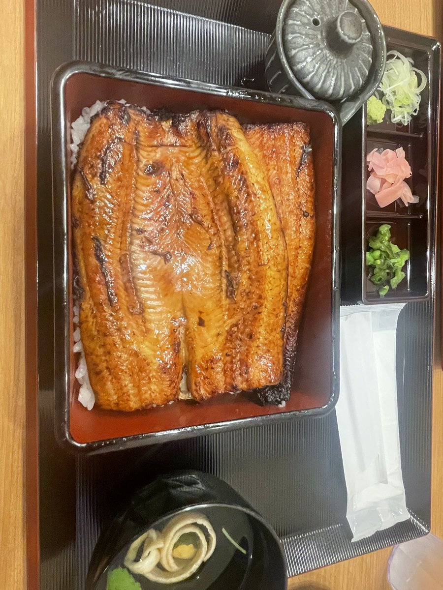 ミツバチ tweet media