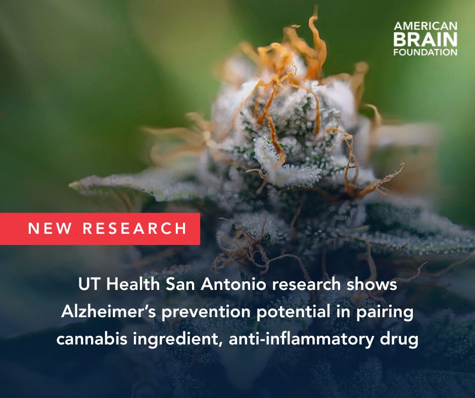 American Brain Foundation tweet media