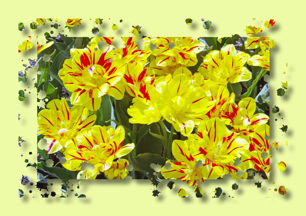 akama_kenneth's tweet image. #MondayMood #Mondayvibes Good Monday #Mondaymorning New Week, Flowers #MondayMotivation #MorningVibes

🐣🌿🌸🕊️💗˚˖𓍢ִִ໋🌼
     [005]  Spring Vibes
🧺˚🌿˚ 💐🌷🌈🐰