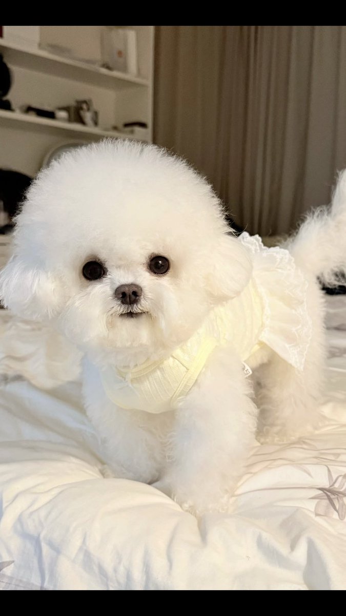 你是我們的小可愛