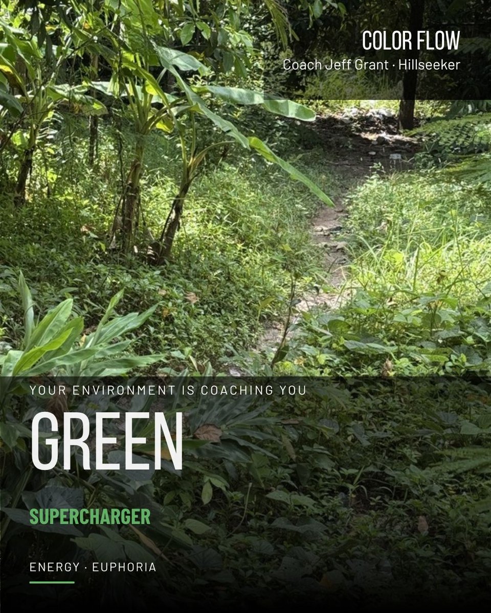 Your nervous system already responds to green.

Parks. Forests. Even a green wall on your commute.

You've been using this tool your whole life. You just never did it on purpose.

I made a free guide that shows you how.

hillseeker.com/green