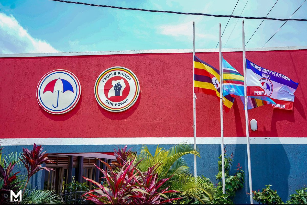 DR MORGANS tweet media