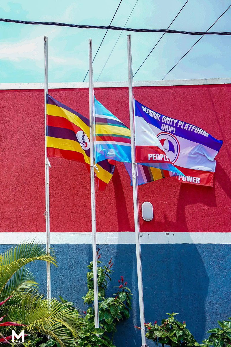 DR MORGANS tweet media