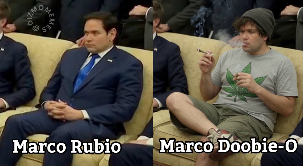 Gizmo Memes tweet media