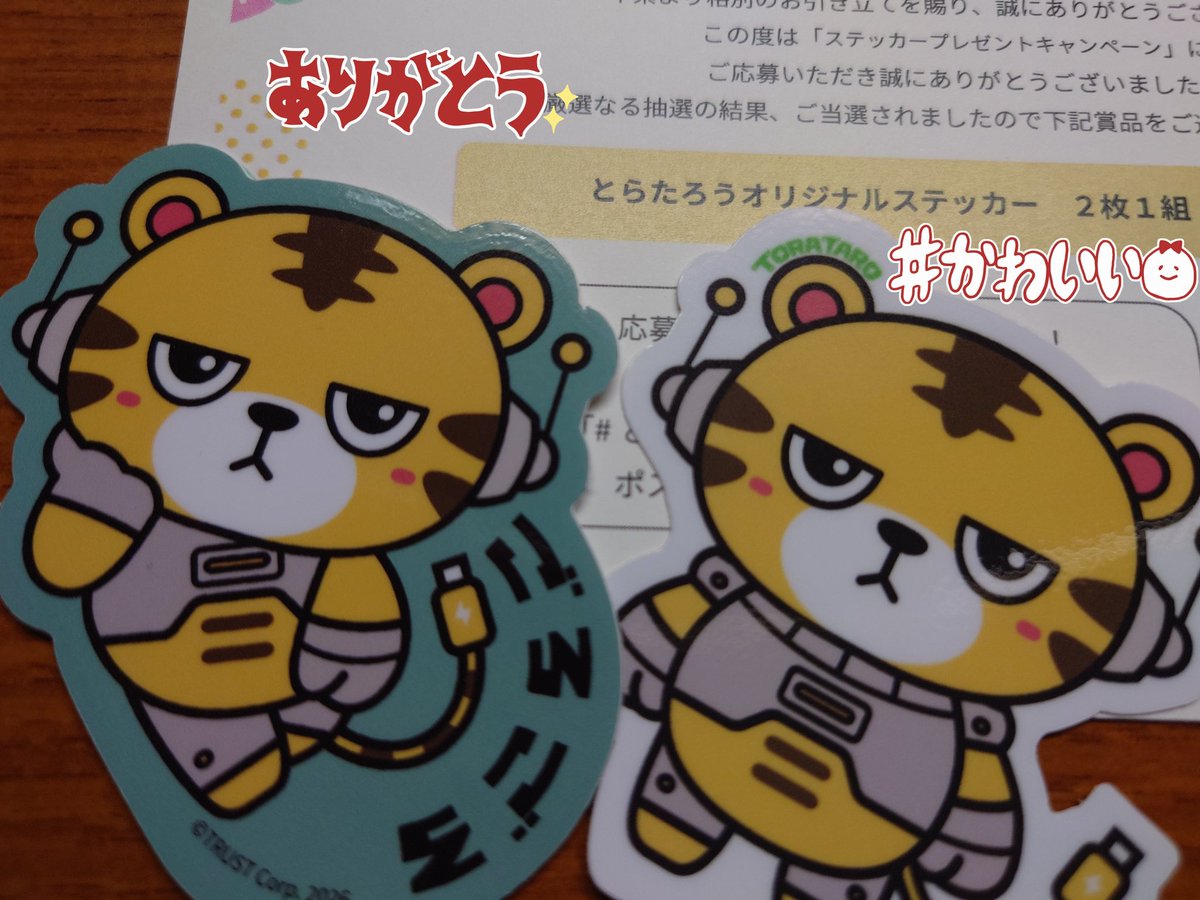 ゆきんこ🐱 tweet media