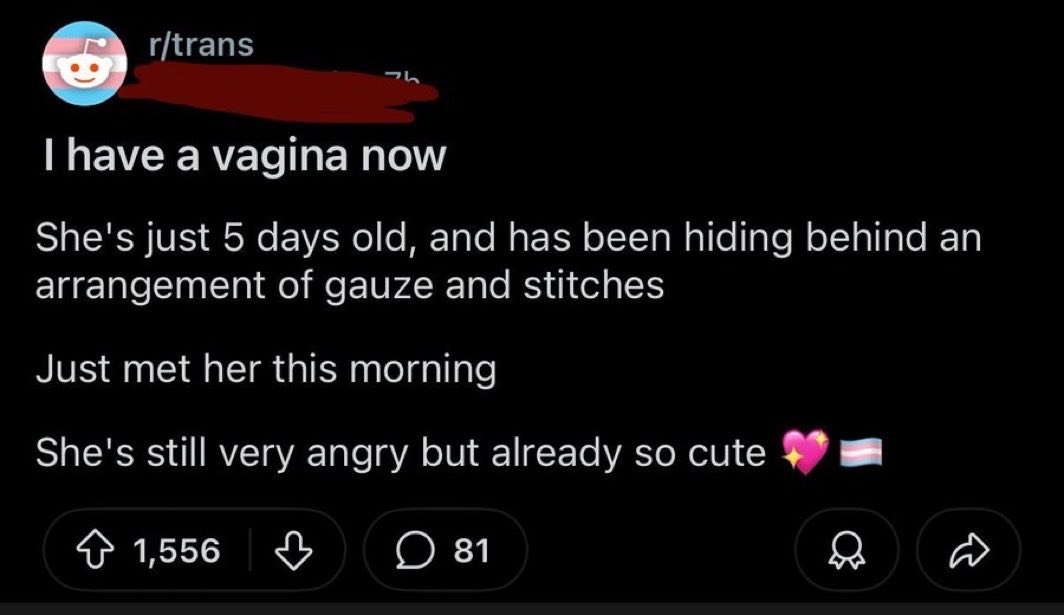 Phairy Megan tweet media