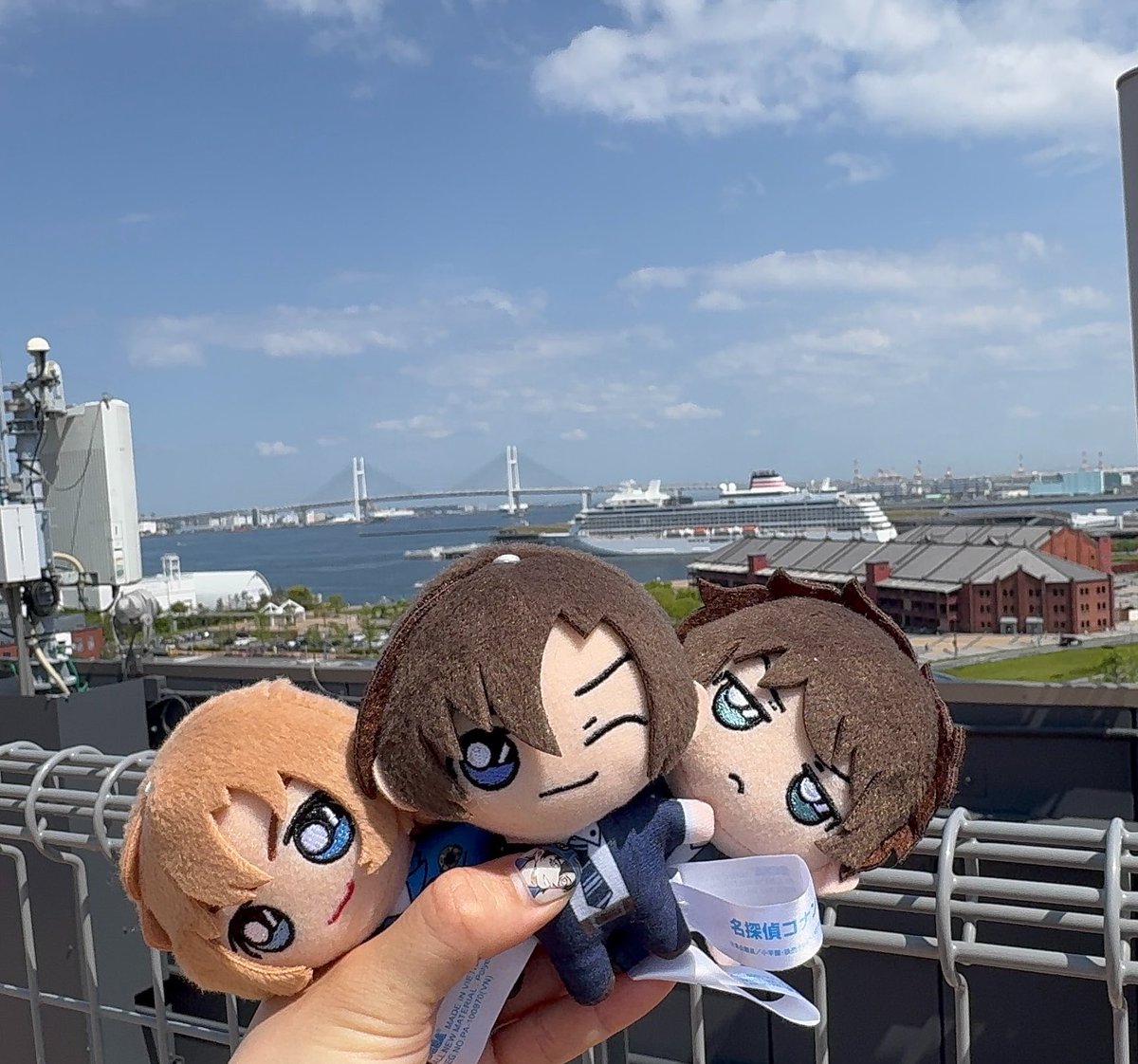 ユメ💤(언니) 🪽　3羽捕る tweet media