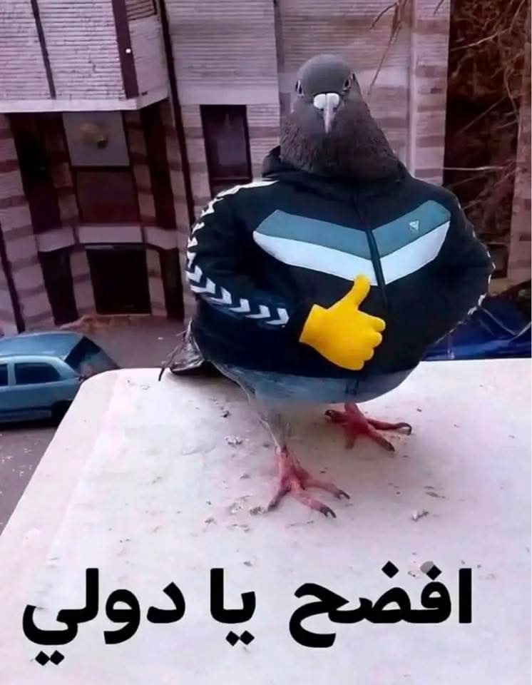 Yami tweet media