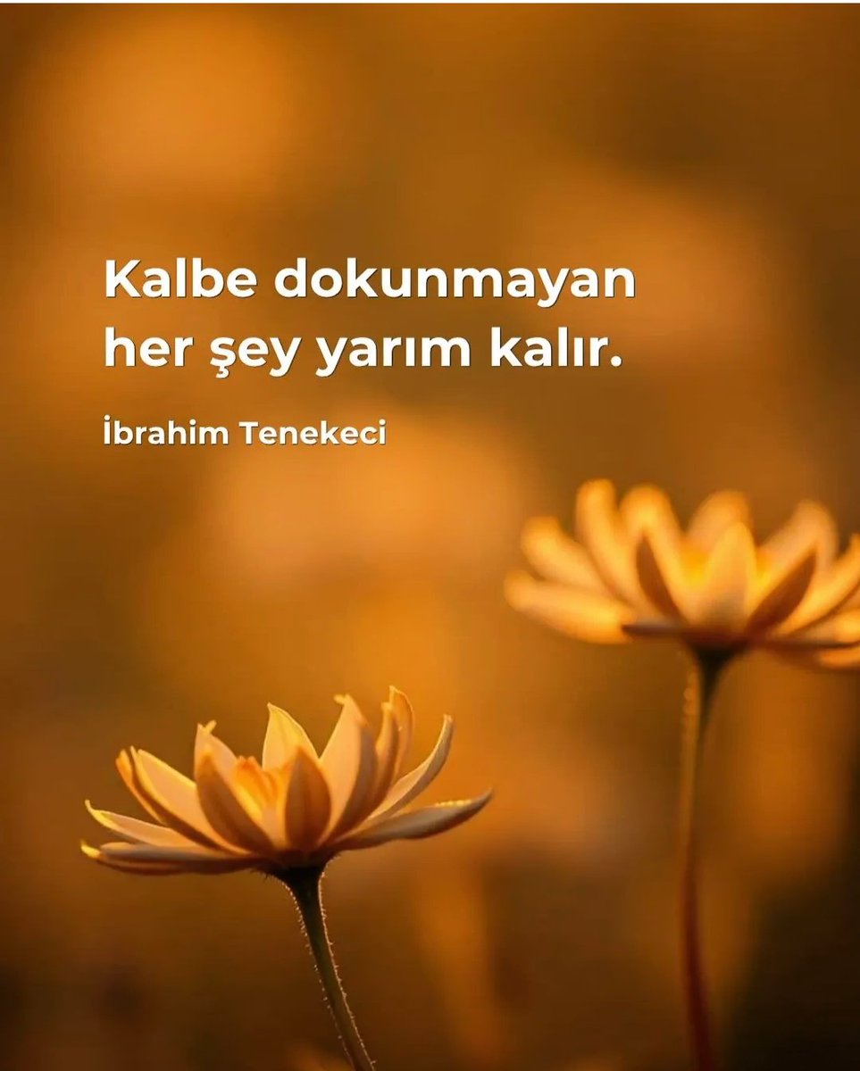 celal-aydoğdu06 (@celalaydgdu06) on Twitter photo 