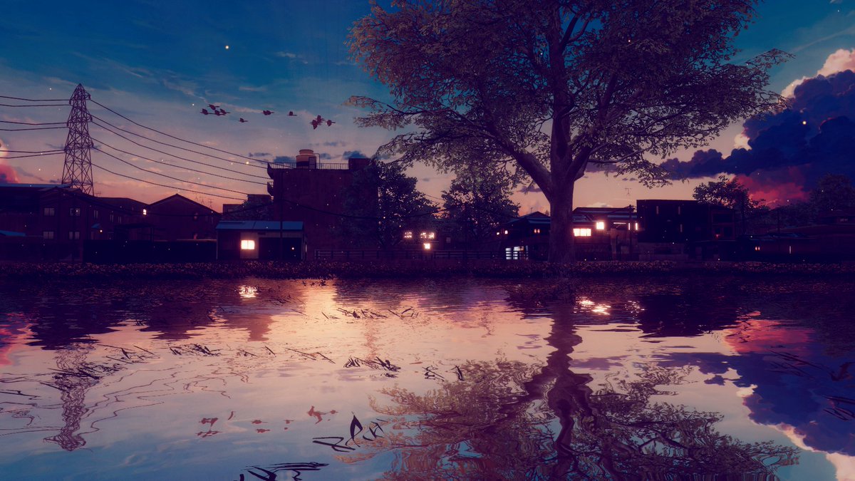 ネコもどき^ᴗ.ᴗ^♡ tweet media