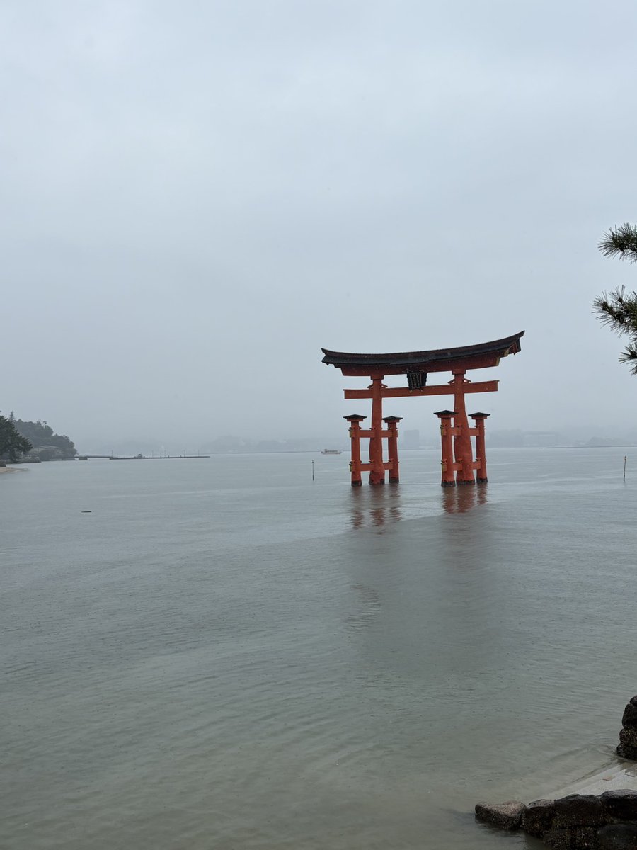 うめとら tweet media