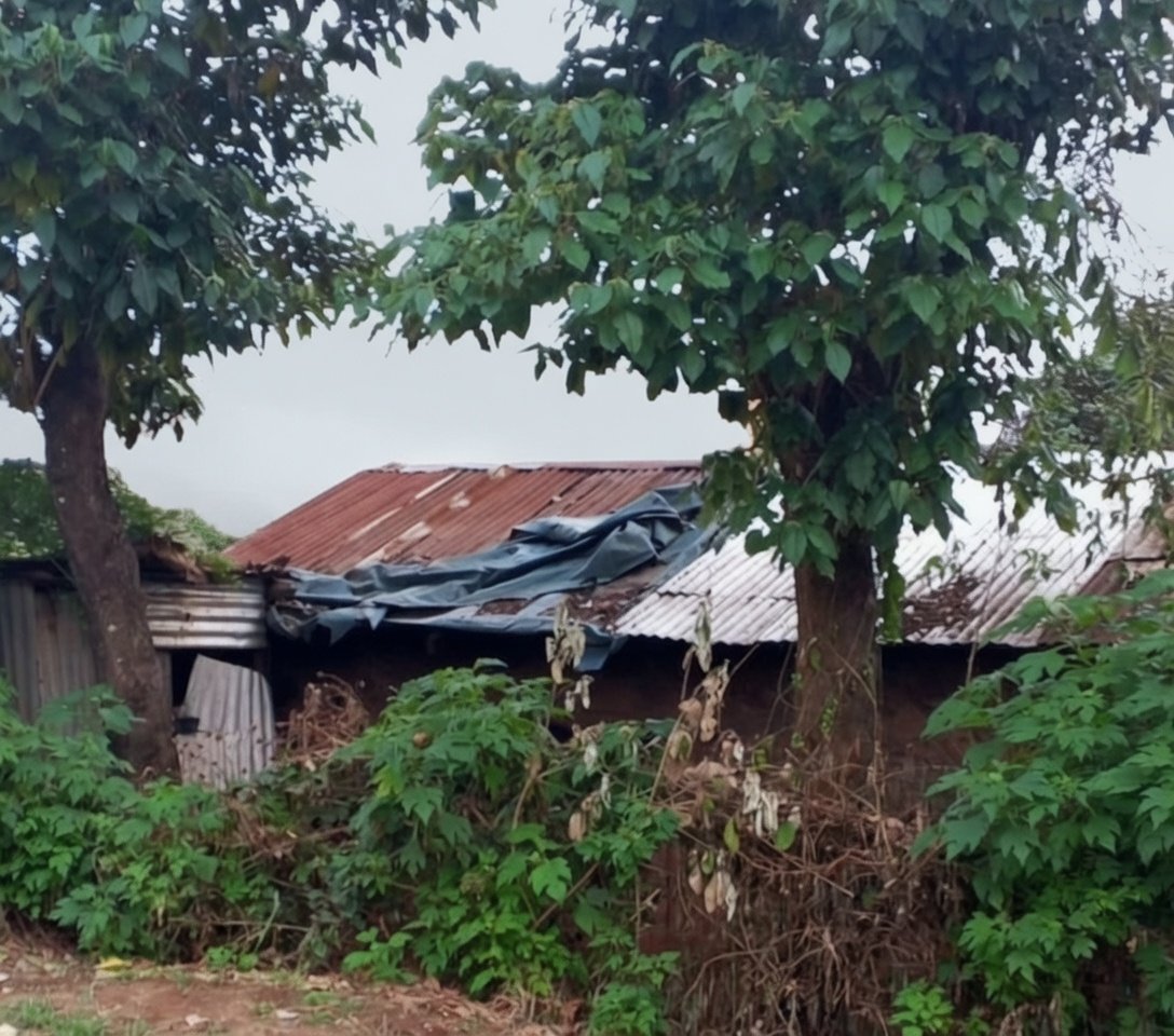 Mary Njoroge tweet media